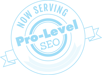 serving-professional-seo