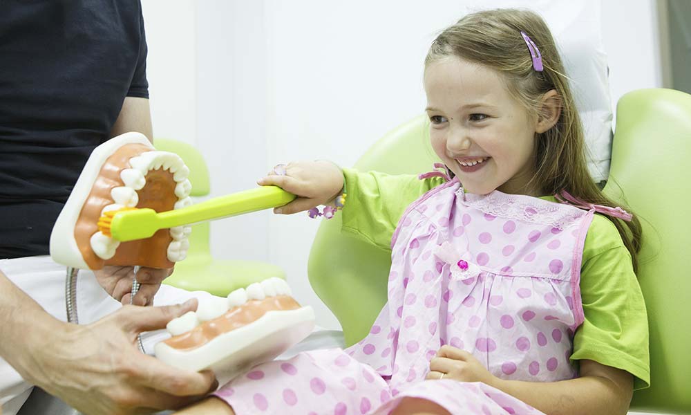Young female dental patient brushing large model teeth with large toothbrush