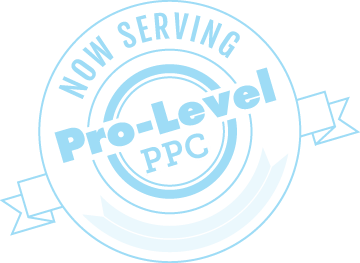 serving-professional-ppc