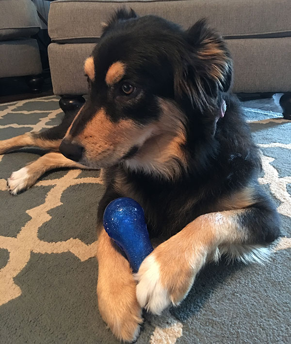 Jason's Dog, Mae