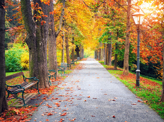 Lovely park during Fall